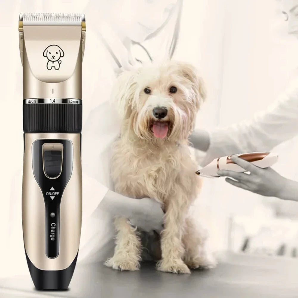 The electric pet hair trimmer and a dog in the background about to get shaved.