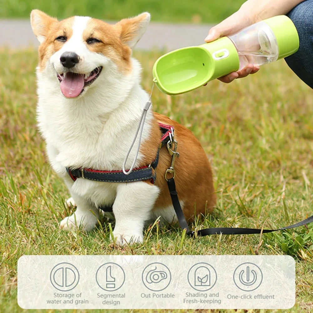 Someone bending down holding a portable pet feeding bottle in green. A dog sitting there panting.