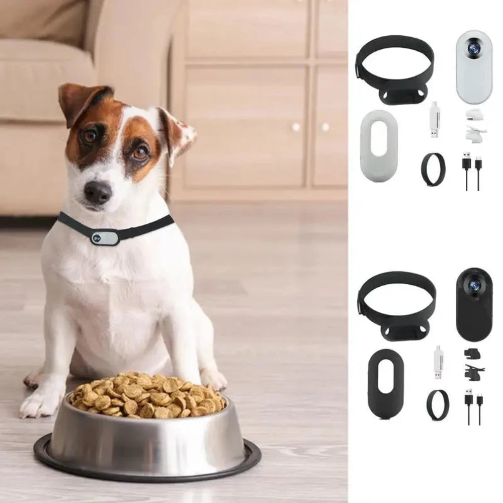 A dog with a bowl full of food. The white and black wireless action camera collar kits.